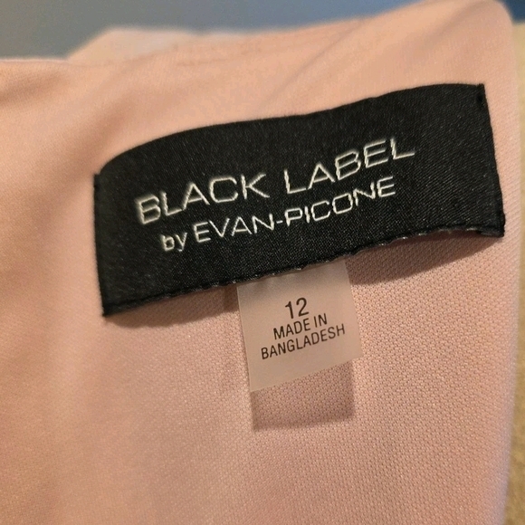 248 Evan Picone Blush Pink Midi Dress with Black Stripes - Picture 3 of 3